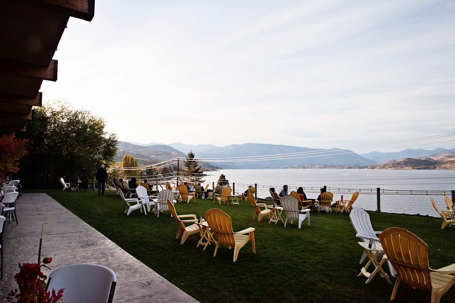 View from Mellisoni Vineyards